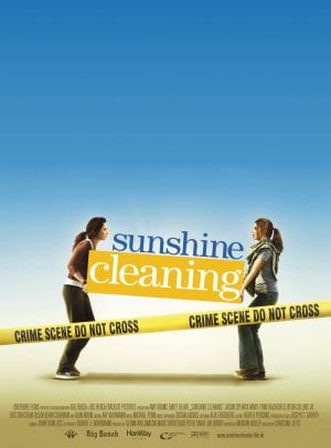 Sunshine Cleaning