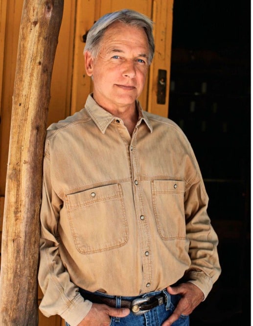 Mark Harmon