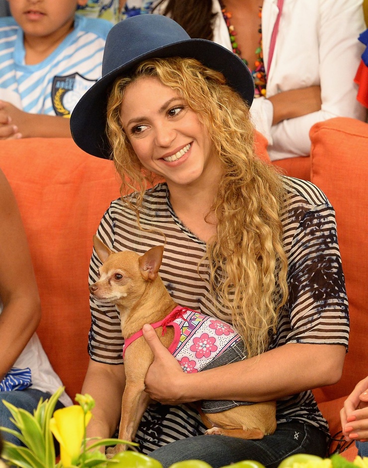 Shakira Shakira