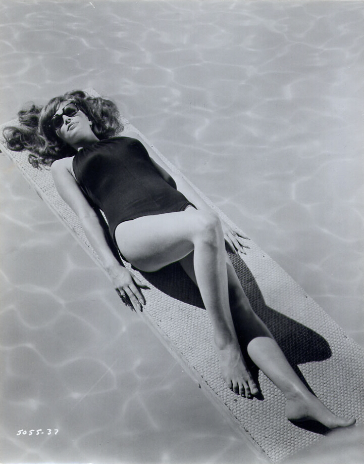 Lynn Loring Lynn Loring