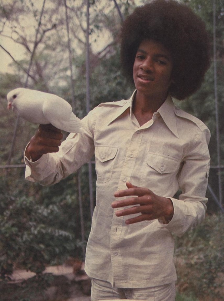 Michael Jackson