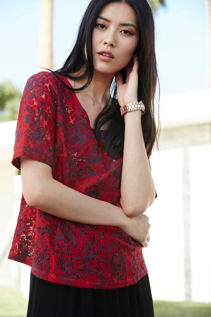 Liu Wen