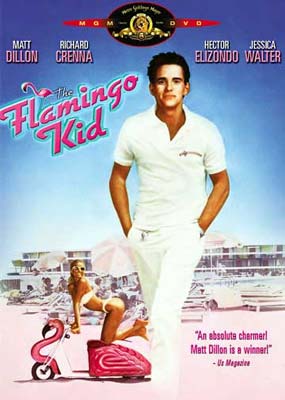 The Flamingo Kid