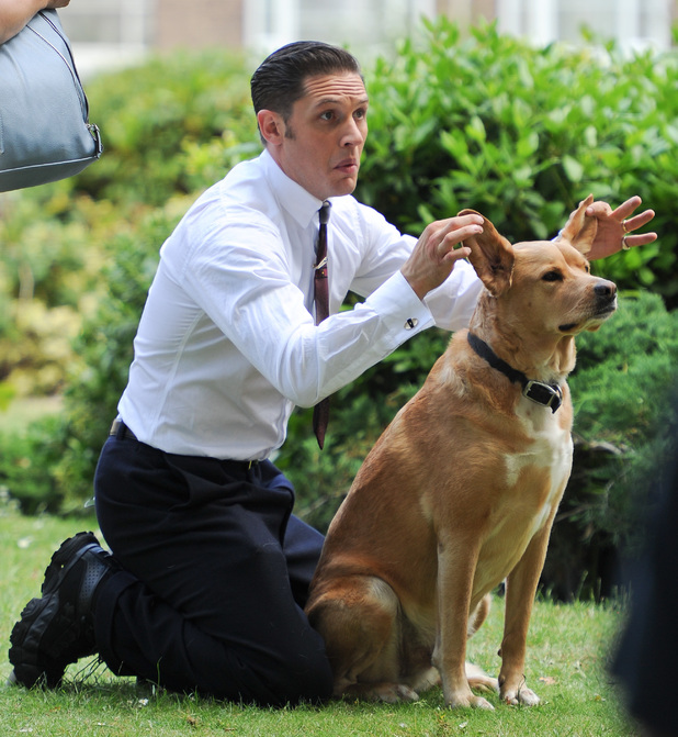 Tom Hardy Tom Hardy