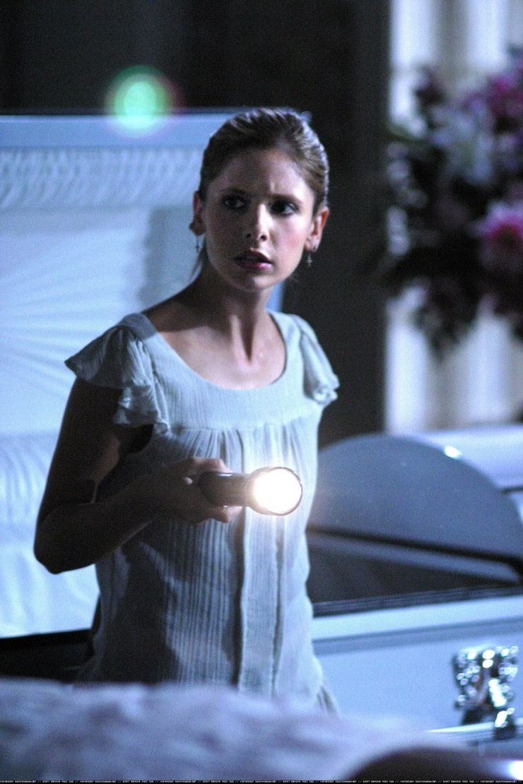 Buffy Summers (Sarah Michelle Gellar)