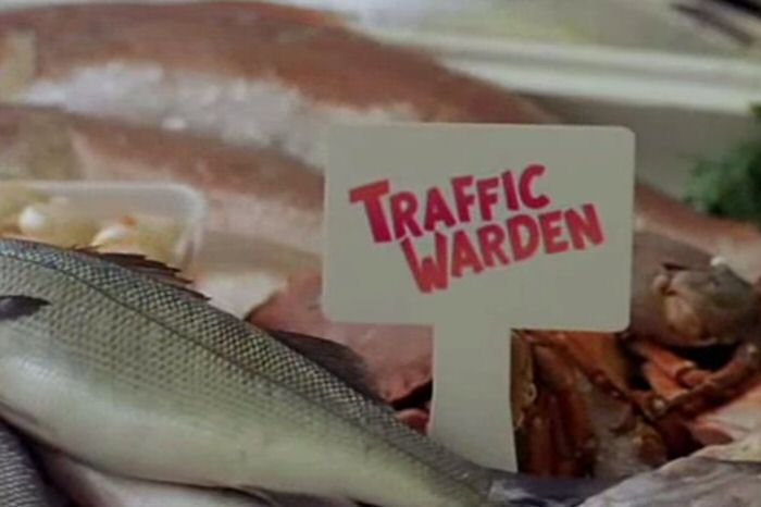 Traffic Warden