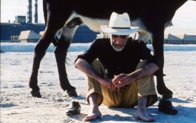 Le bassin de J.W. (1997)
