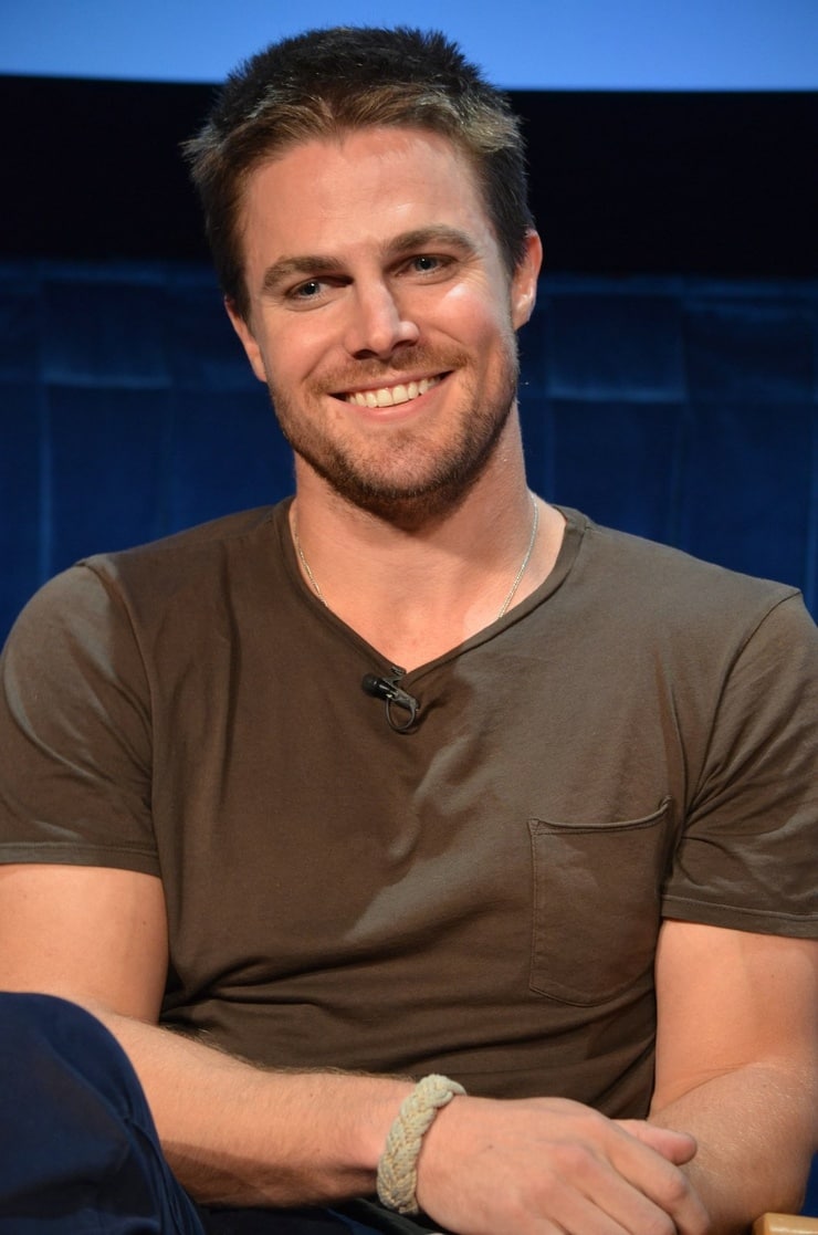 Picture Of Stephen Amell 4201