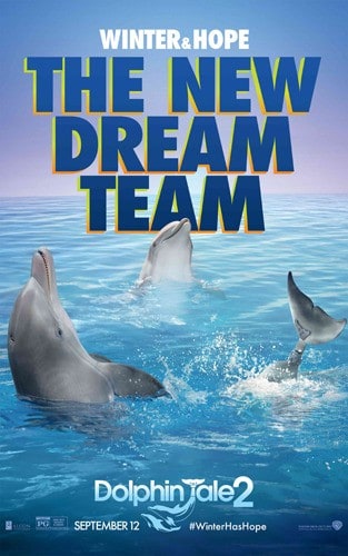 Dolphin Tale 2