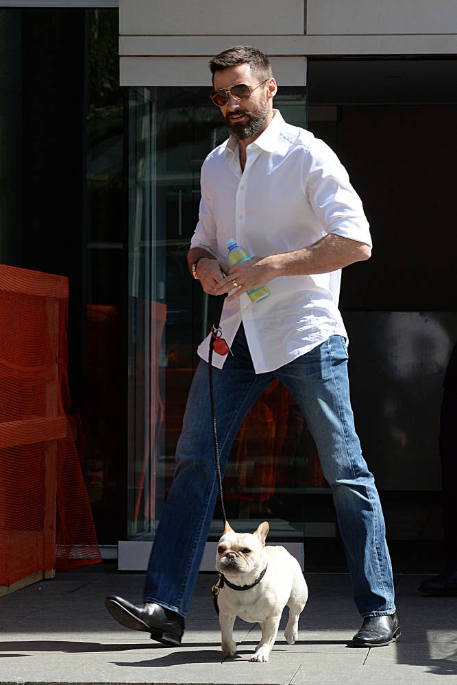 Hugh Jackman