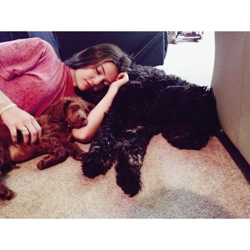 Danielle Campbell Danielle Campbell