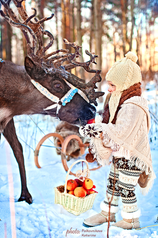 Ksenia Tikhonov