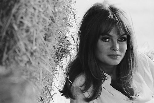 Jean Shrimpton