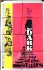 The Dark at the Top of the Stairs                                  (1960)