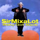 Sir Mix a Lot