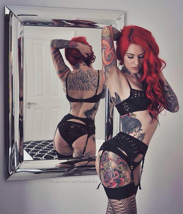 Picture of Cervena Fox