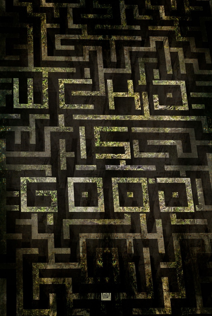 The Maze Runner
