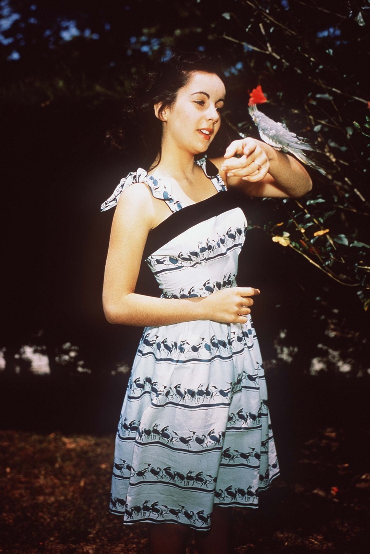 Elizabeth Taylor Elizabeth Taylor