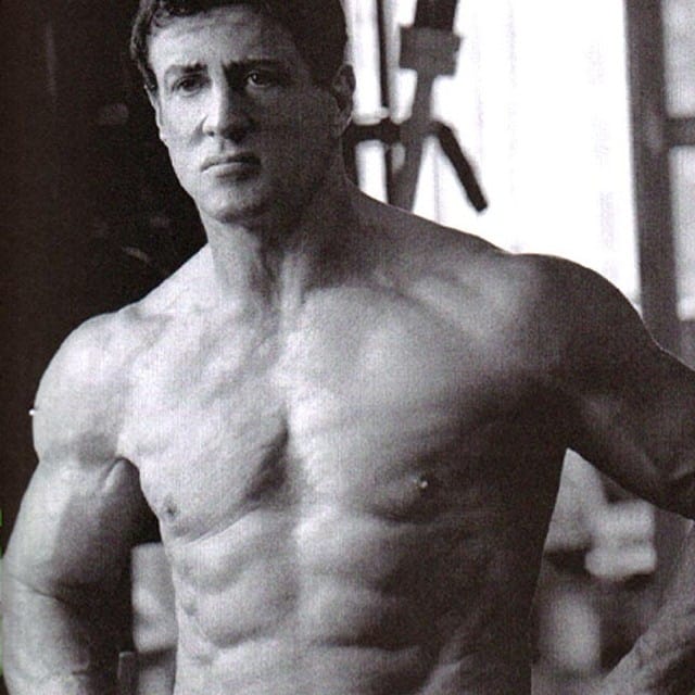 Picture of Sylvester Stallone