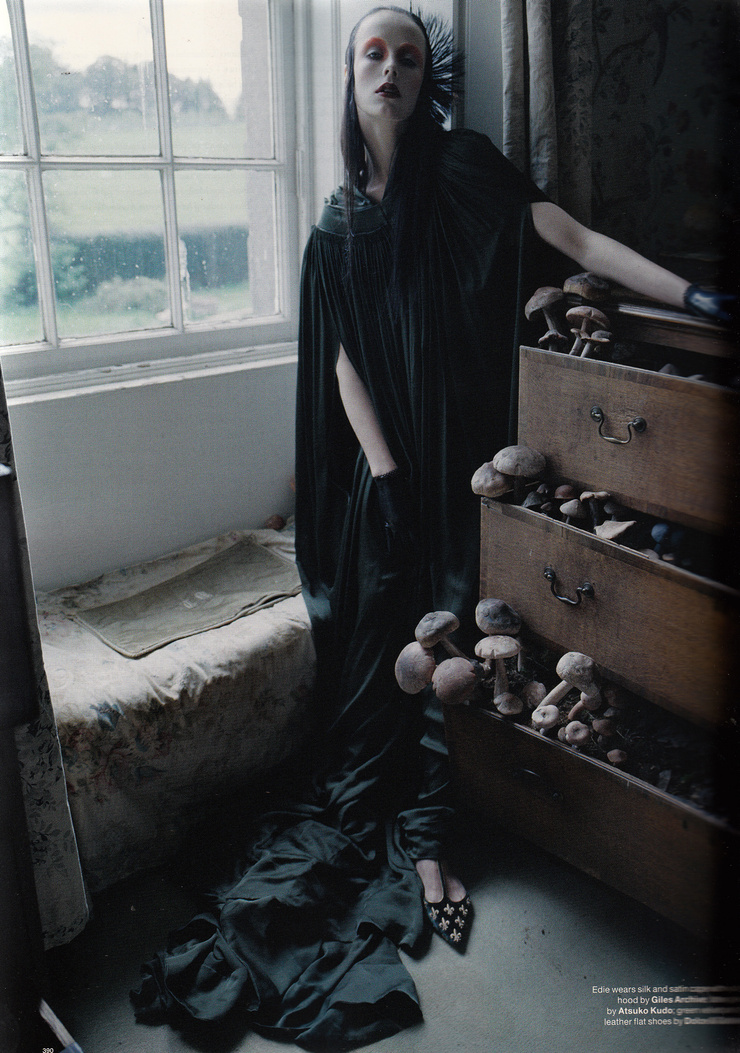 Edie Campbell