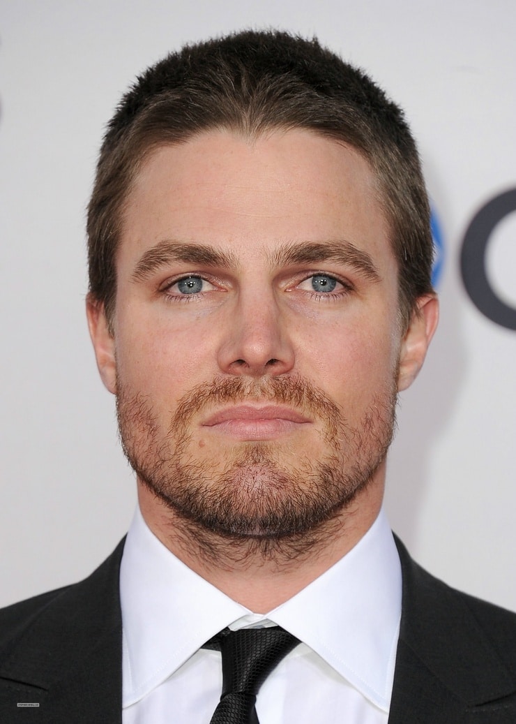 Next photo of Stephen Amell