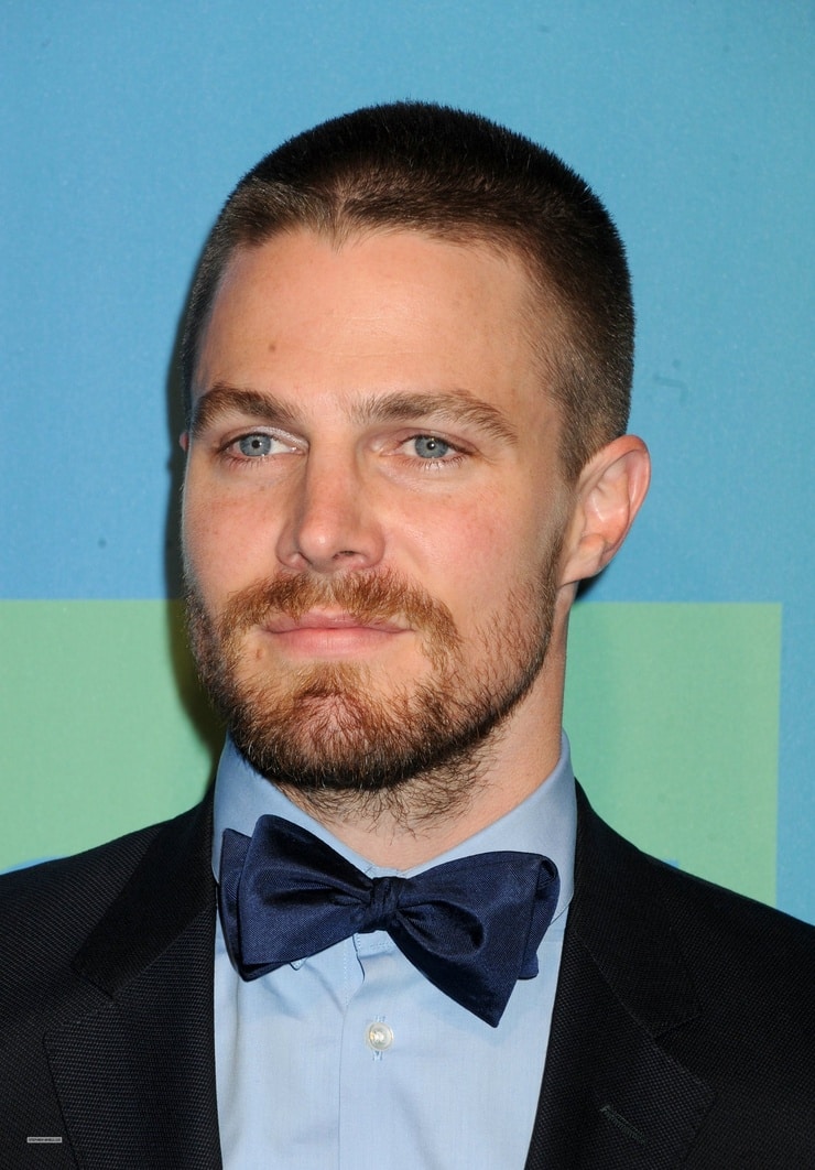 Stephen Amell picture