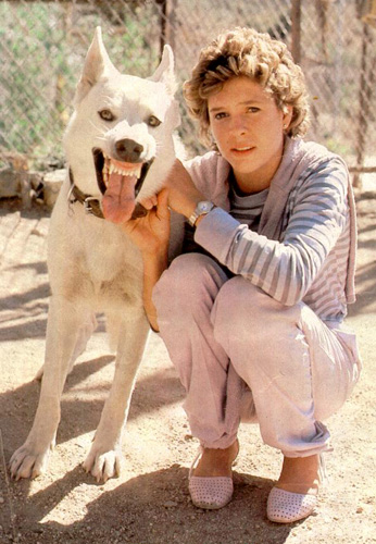 White Dog