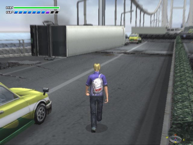 Disaster Report