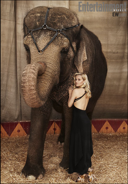 Water for Elephants