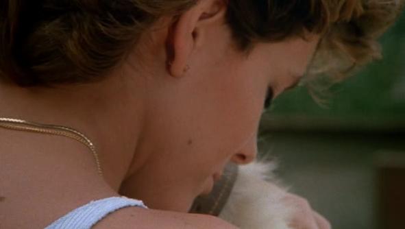 White Dog