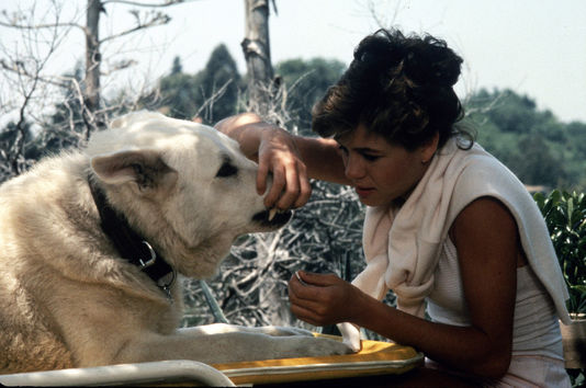 White Dog