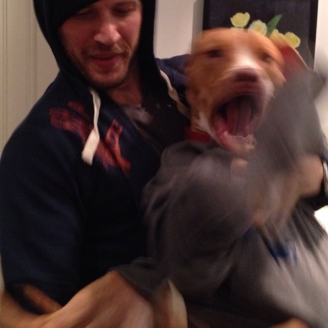Tom Hardy