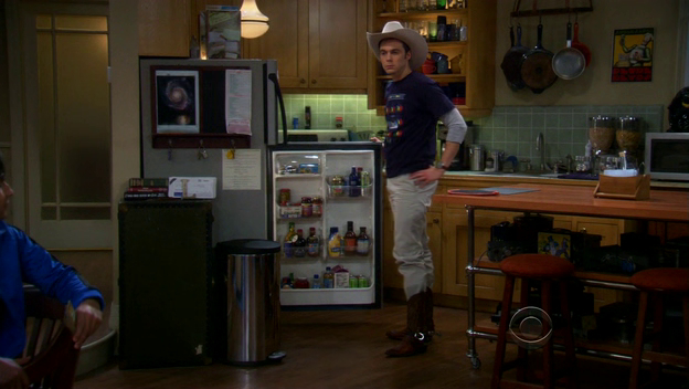 The Big Bang Theory