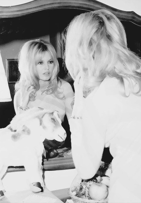 Brigitte Bardot