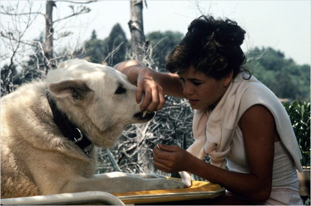 White Dog