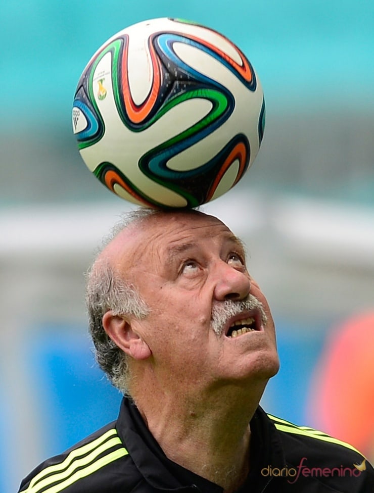 Vicente del Bosque