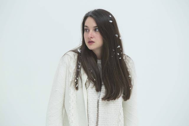White Bird in a Blizzard White Bird in a Blizzard
