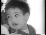 Dodd Darin