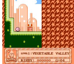 Kirby's Adventure