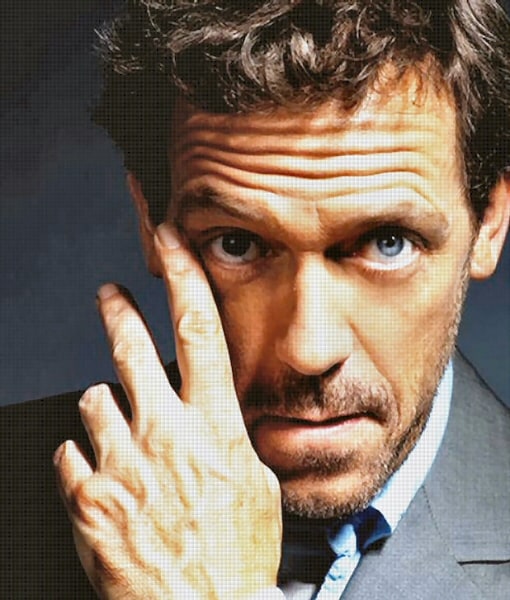 Hugh Laurie