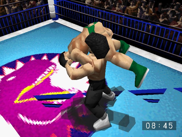 Pro Wrestling Sengokuden