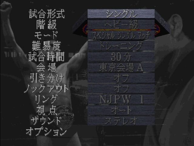 Shin Nippon Pro Wrestling: Toukon Retsuden 2