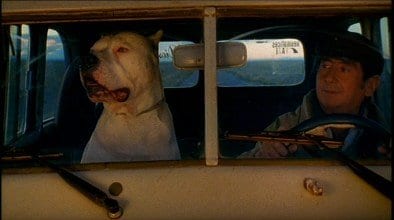 Bombón: El Perro Bombón: El Perro