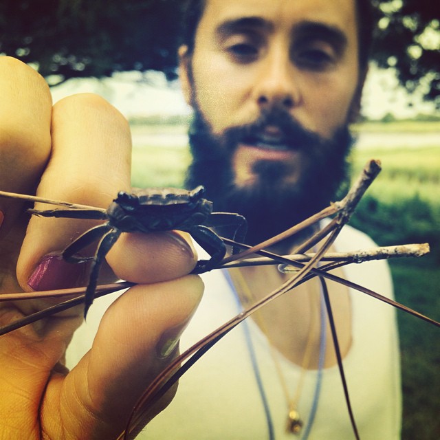 Jared Leto