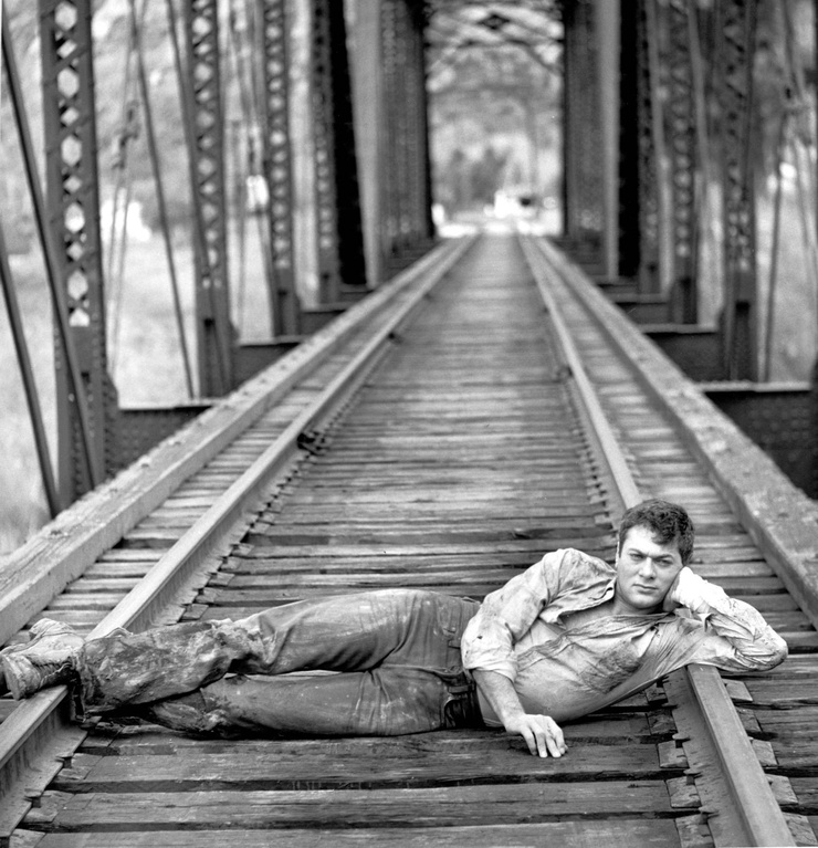 Tony Curtis Tony Curtis