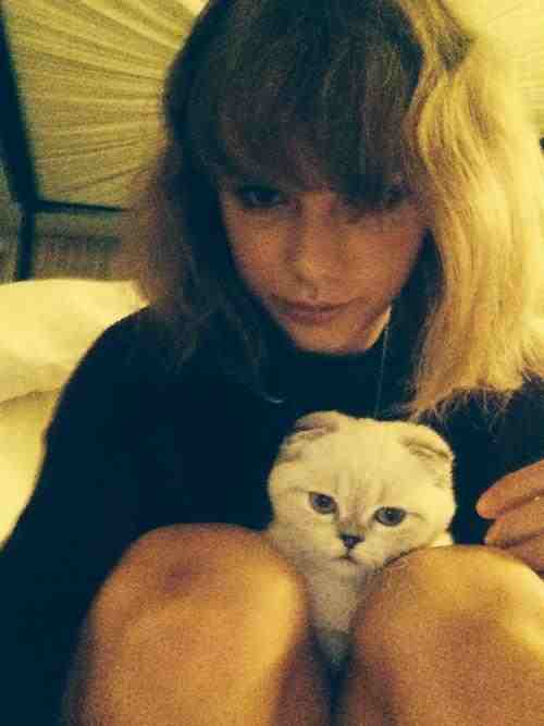 Taylor Swift Taylor Swift