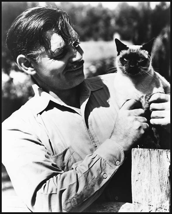 Clark Gable Clark Gable