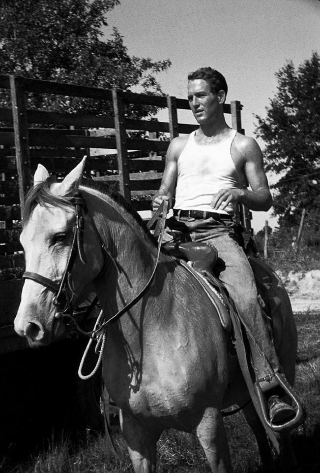 Paul Newman Paul Newman