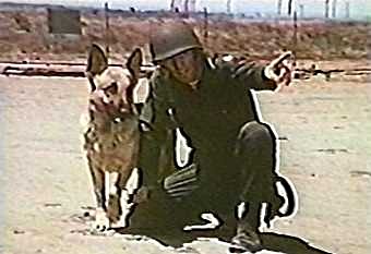 Run, Joe, Run Run, Joe, Run