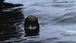 Peter Sweeney